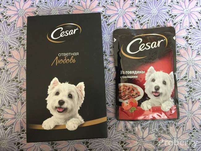 Корм для собак cesar (цезарь): состав, отзывы, производитель