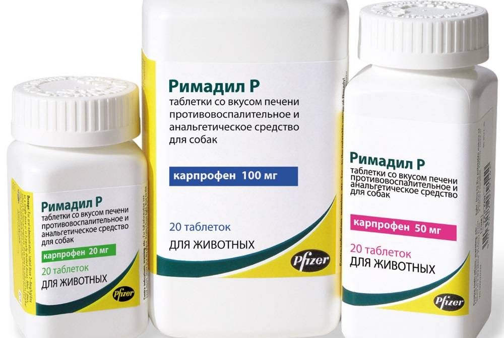 Римадил р со вкусом печени - купить, цена и аналоги, инструкция по применению, отзывы в интернет ветаптеке добропесик