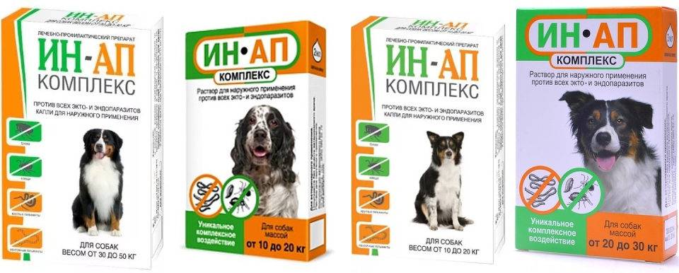 Ин-ап комплекс для собак массой от 30 до 50 кг - купить оптом по цене производителя | тд "астрафарм"