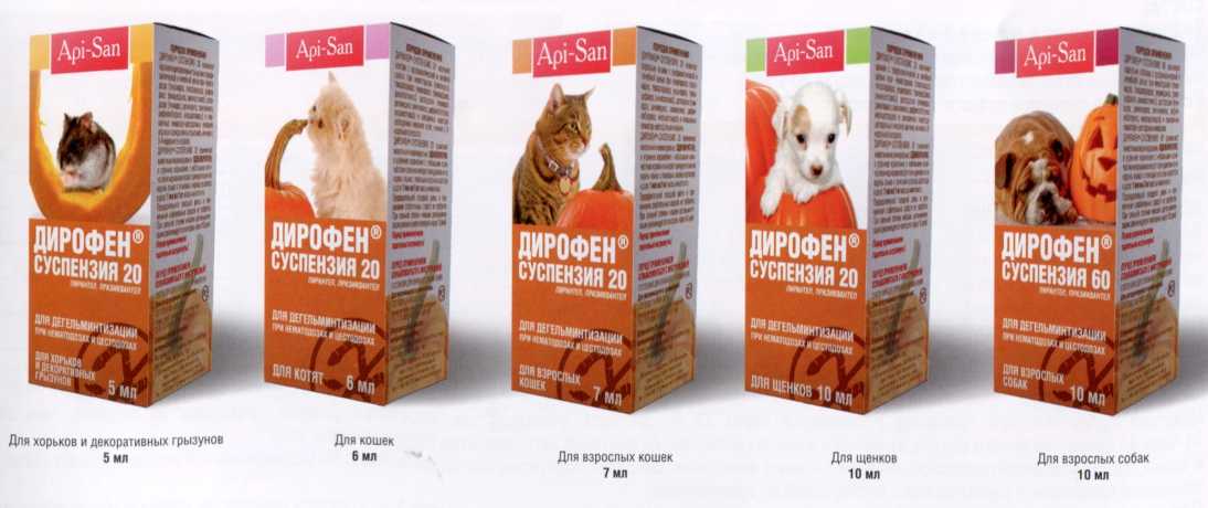 Дирофен плюс (суспензия, таблетки, паста): инструкция по применению для взрослых кошек и котят, отзывы
