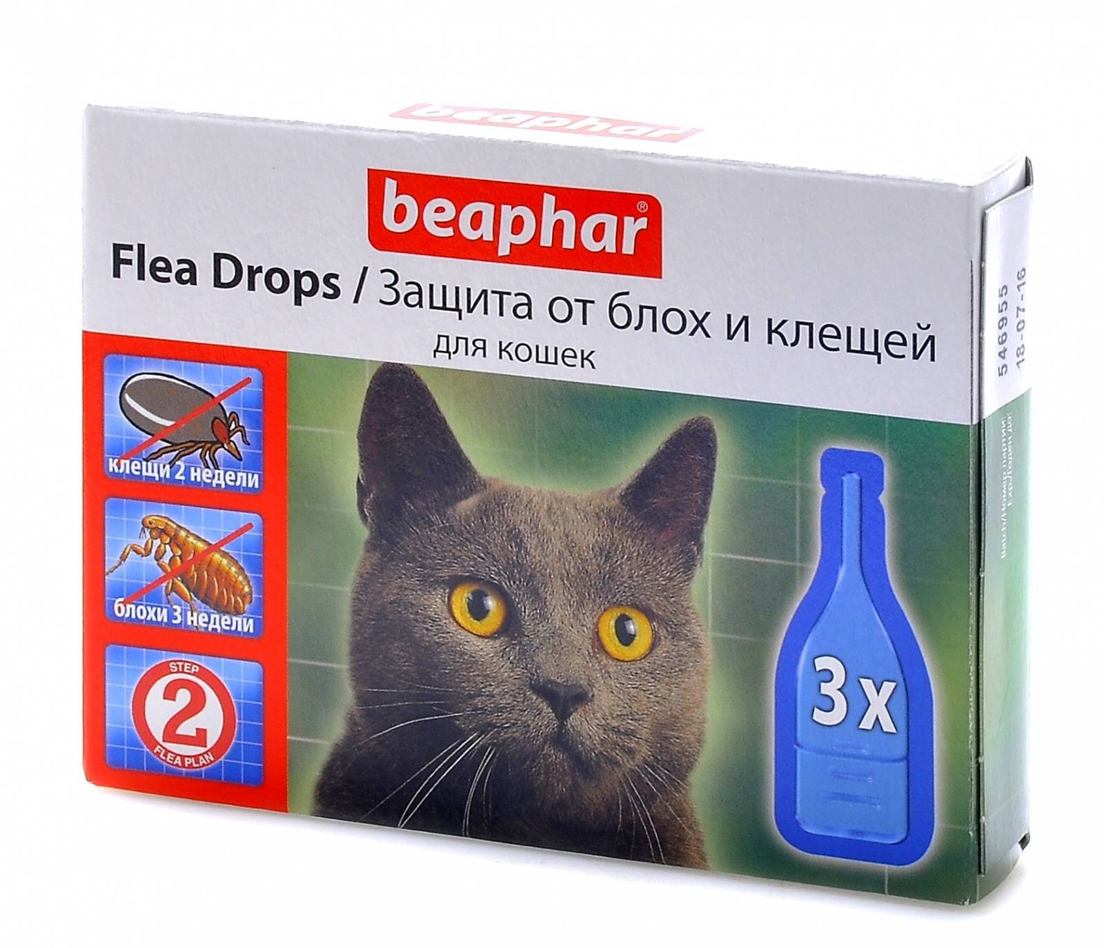 Лучшее средство от блох для кошек - препараты, ошейники, народные средства - kotiko.ru