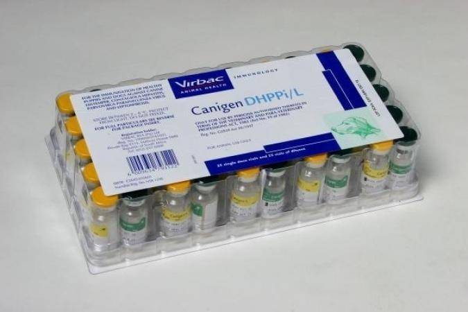 Вакцина биокан dhppi+l: инструкция по применению - вет-препараты
