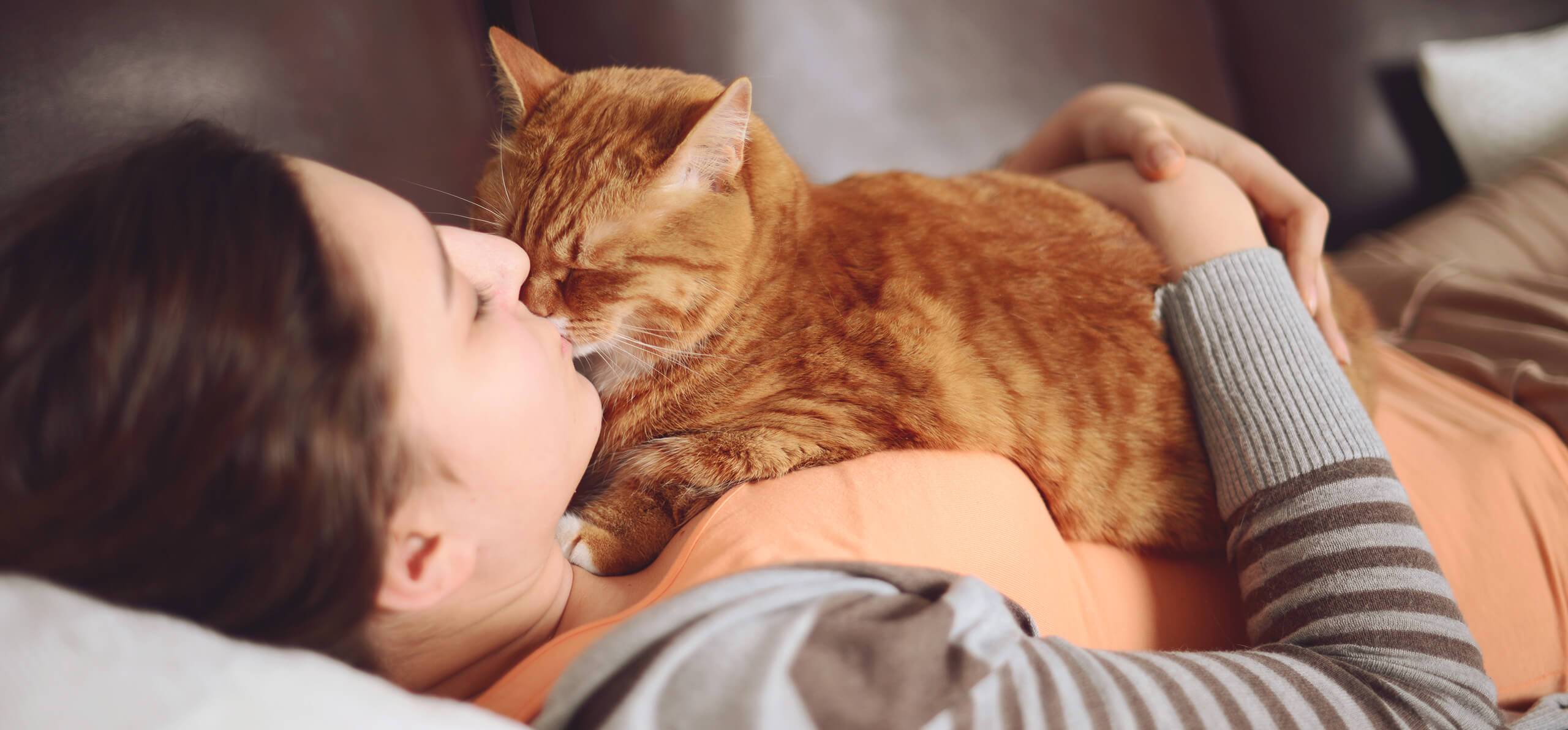 Почему кошки спят в ногах у человека: лучшие версии