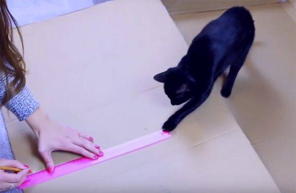 Смотреть лайфхаки что можно сделать для котов. лайфхаки для котиков: как сделать совместную жизнь легче и веселее