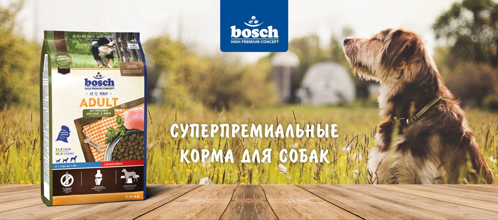 Обзор на корм для собак bosch (бош): состав, компоненты, производитель