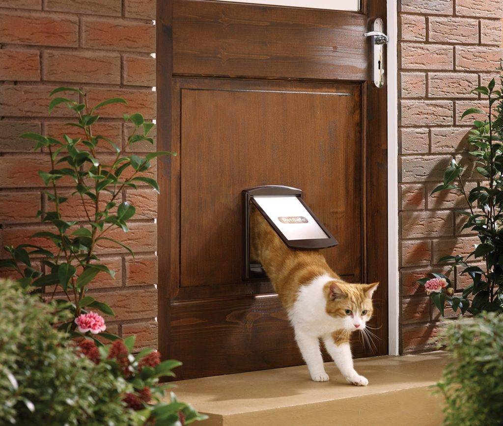 Разнообразные варианты дверных отверстий для кошек в туалетную дверь
