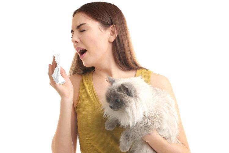 Аллергия на шерсть: нужно ли выгонять кошку?