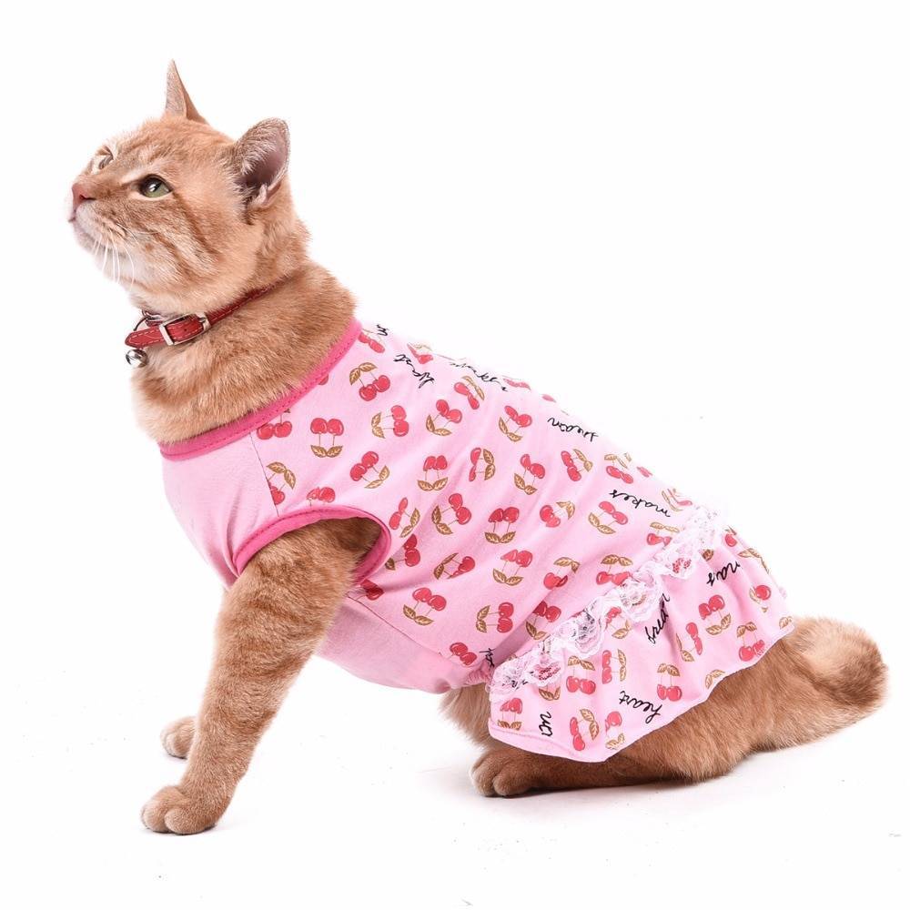 ᐉ одежда для кошек своими руками: как сшить без машинки, выкройки костюма и комбинезона - kcc-zoo.ru