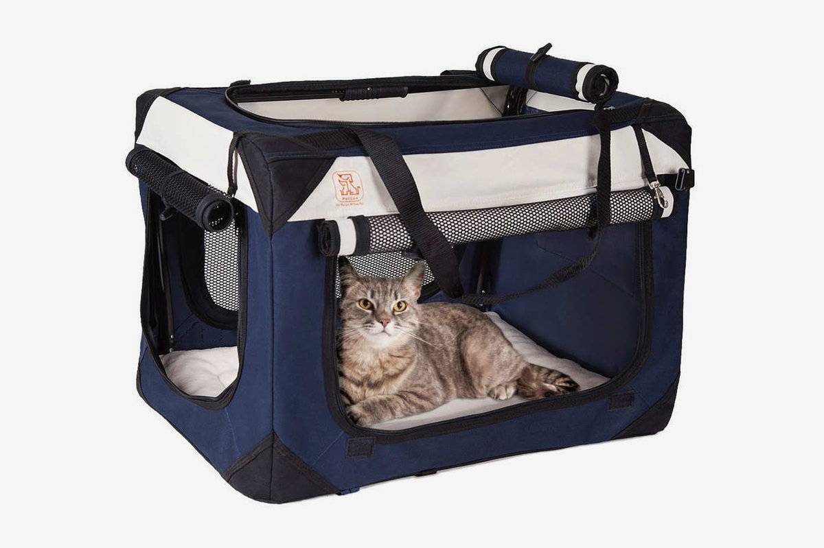 Переноска для кота или кошки: разновидности (кошачий рюкзак с иллюминатором, пластиковый контейнер и другие), особенности выбора сумки