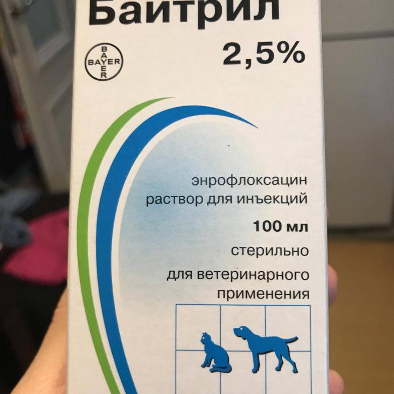 Антибиотик байтрил 2.5% 5% для кошек и собак