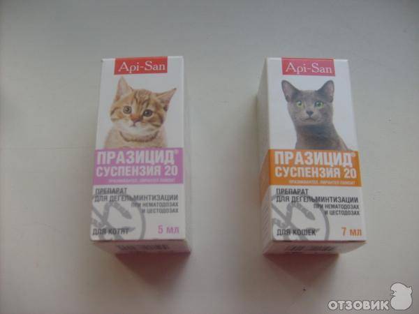 Празицид-комплекс для котят и кошек менее 4 кг - купить, цена и аналоги, инструкция по применению, отзывы в интернет ветаптеке добропесик