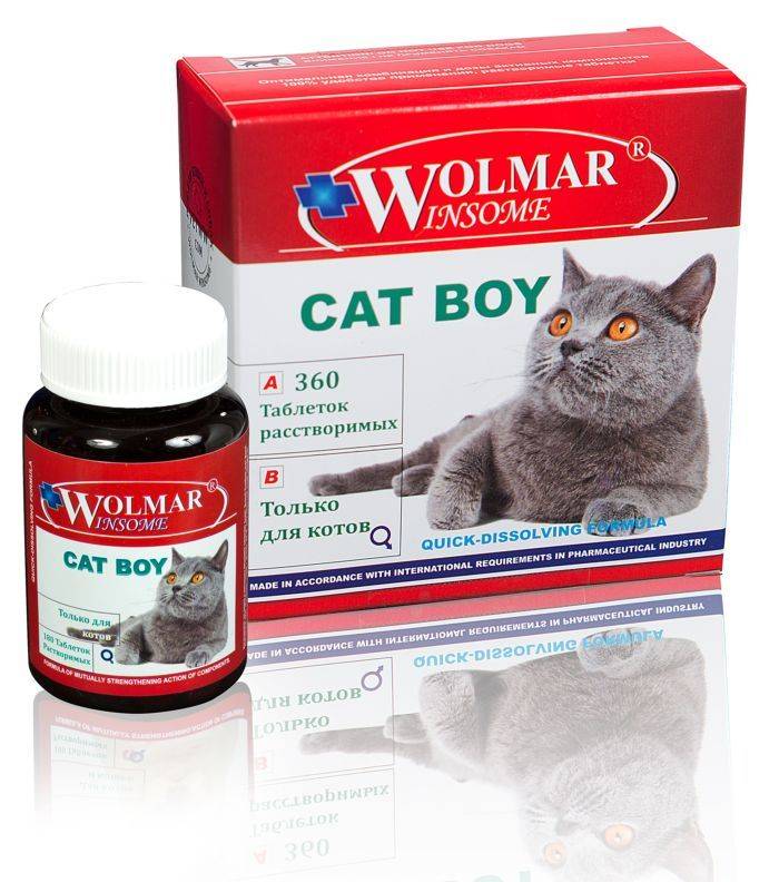 Витамины для котов. какие нужны и как правильно применять?