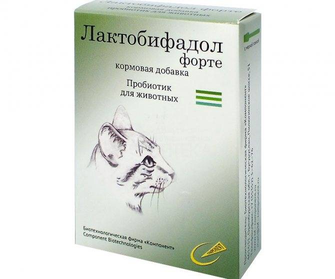 Лактобифадол для кошек: показания и инструкция по применению, отзывы, цена