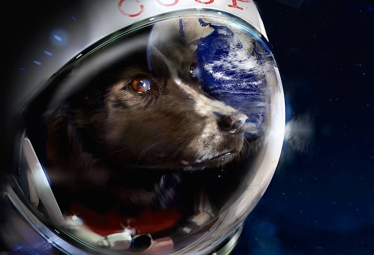 В каком году полетели собаки в космос. Первая собака в космосе лайка. Полет собаки лайки в космос. Первая собака в космосе лайка фото. Лайка первый космонавт.