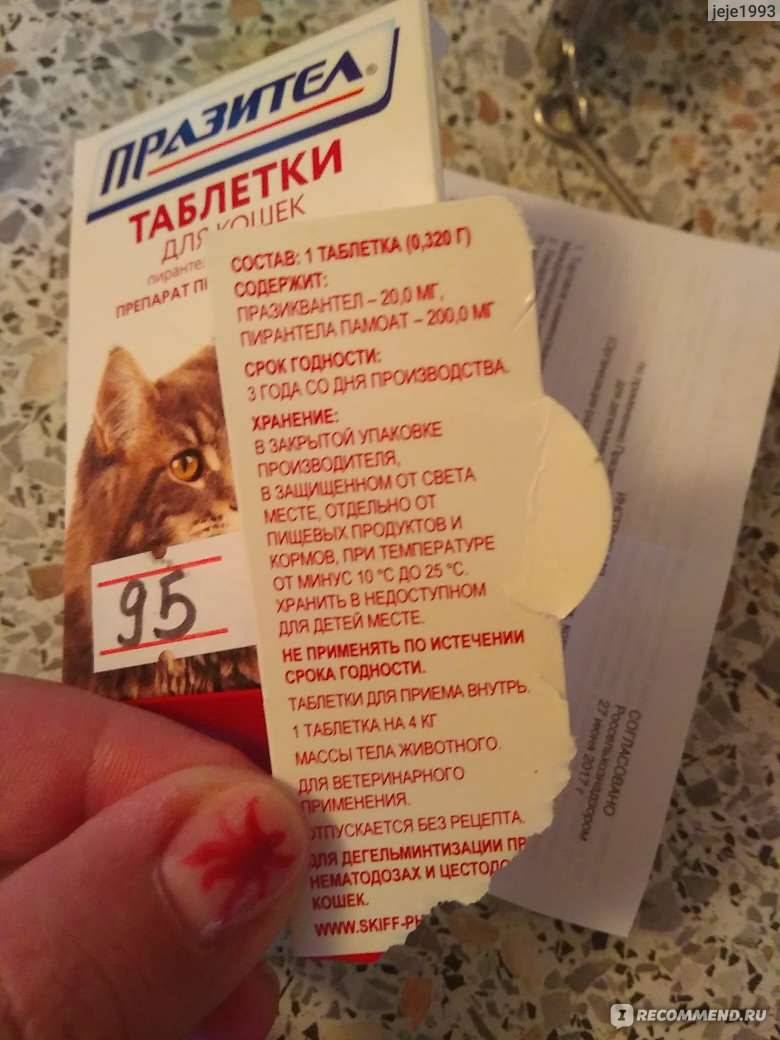 Глистогонное для кошек — обзор лучших препаратов