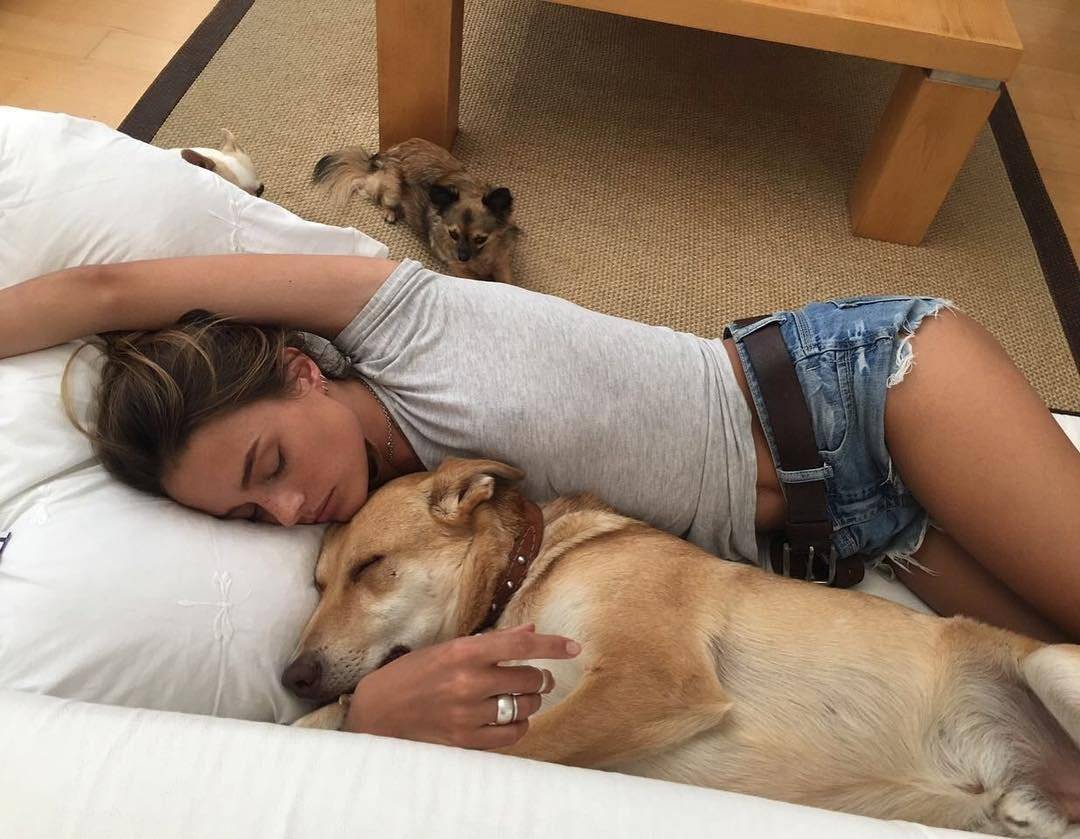 Так должна ли ваша собака спать рядом ночью. что говорят психологи