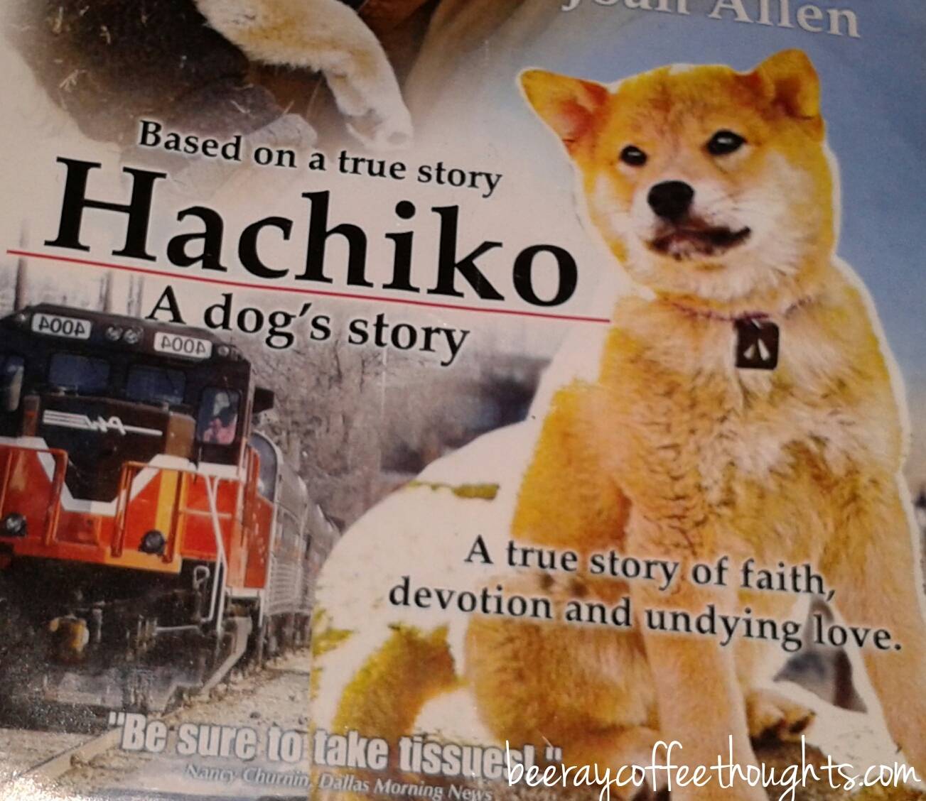 Хатико - биография персонажа, "самый верный друг", фото, интересные факты - 24сми