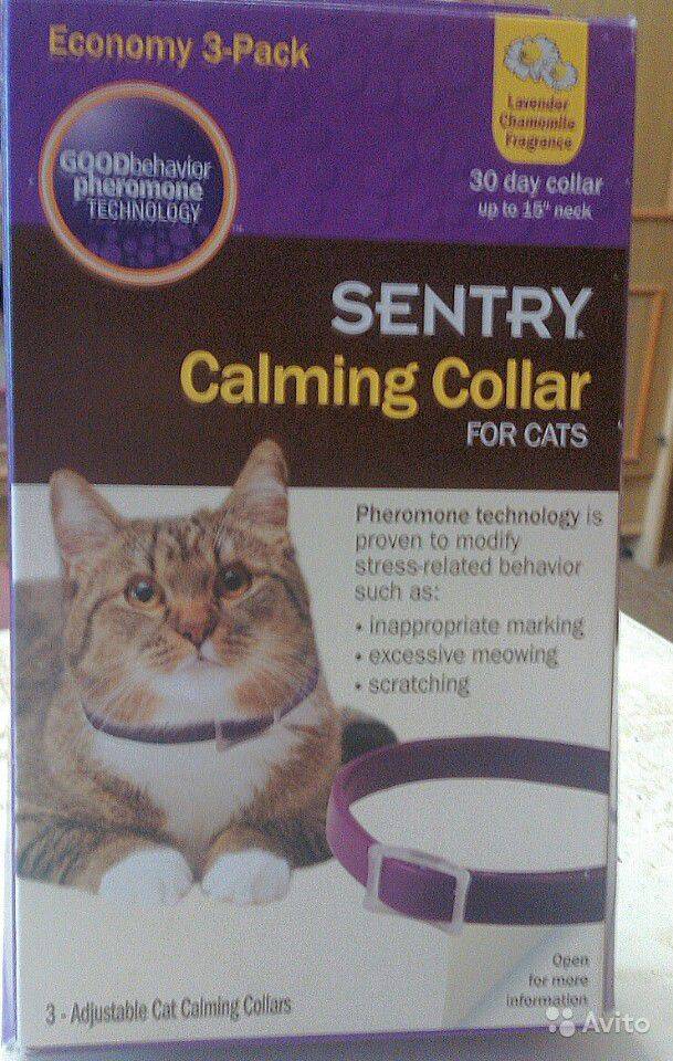 Успокаивающий ошейник для кошки sentry: где купить?