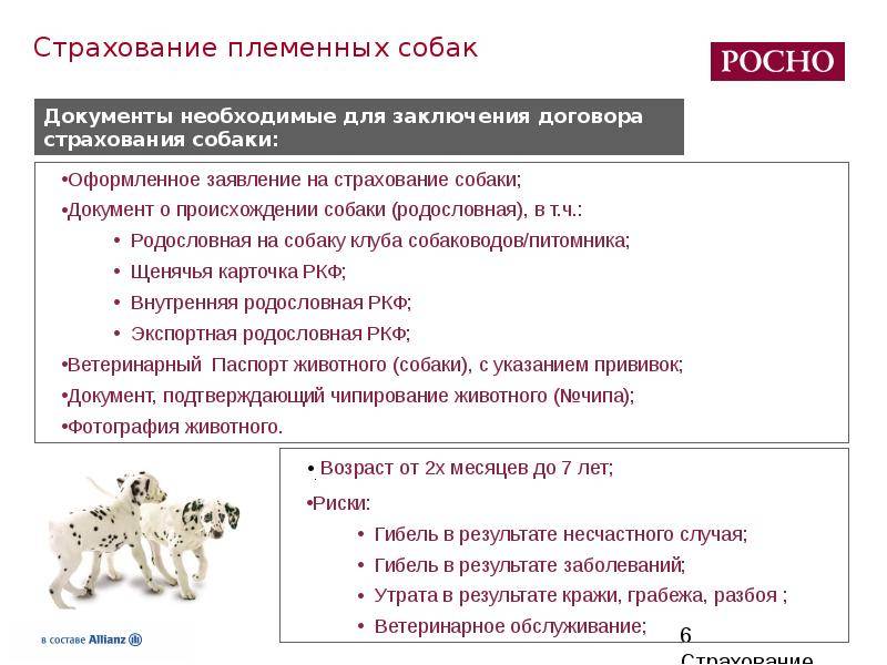 Страхование животных в россии. правила страхования животных сельскохозяйственных и домашних :: businessman.ru