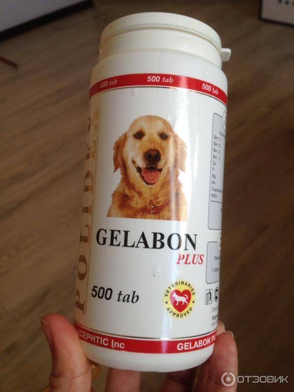 Гелабон плюс для собак