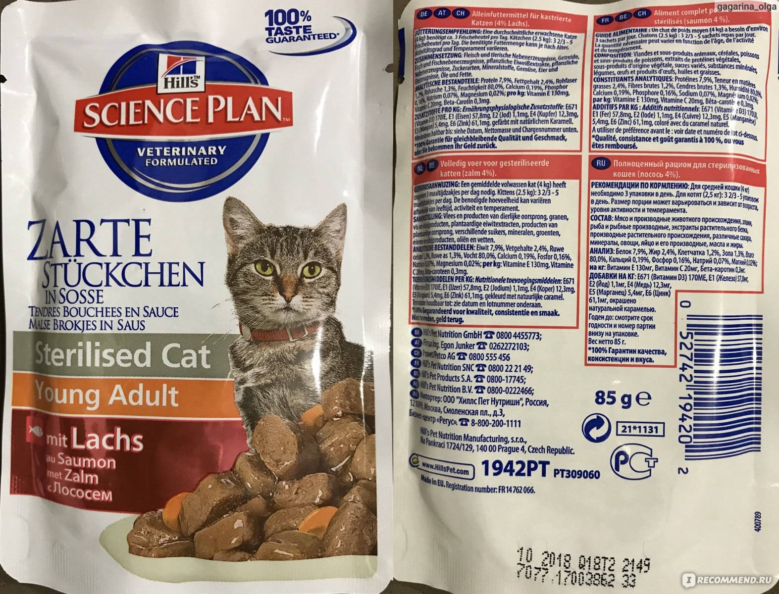 Сухой корм для стерилизованных кошек: рейтинг лучших кормов для кастрированных котов. можно ли выбирать для кастратов корма ниже премиум-класса?