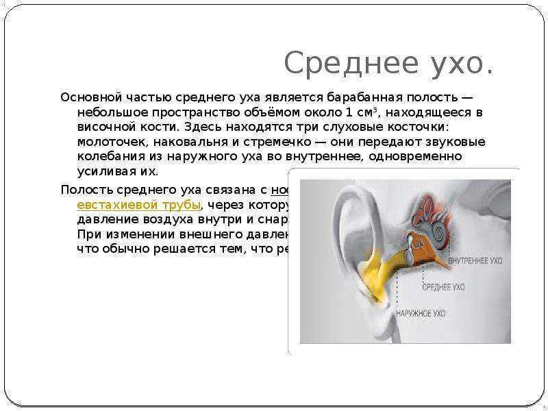 Болезнь меньера - заболевание внутреннего уха, из-за которого возникают приступы глухоты, шума в ушах, головокружения и нарушения равновесия