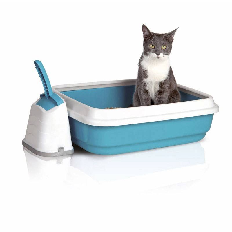 Какой наполнитель для кошачьего туалета лучше? сделай свой выбор чтобы не воняло