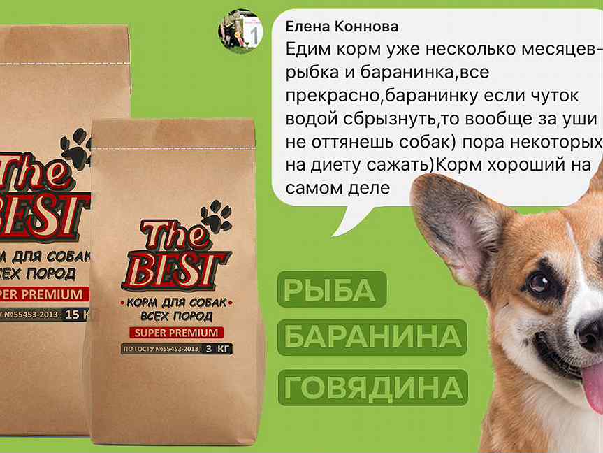 Рейтинг влажных кормов для собак – лидеры в 8 категориях