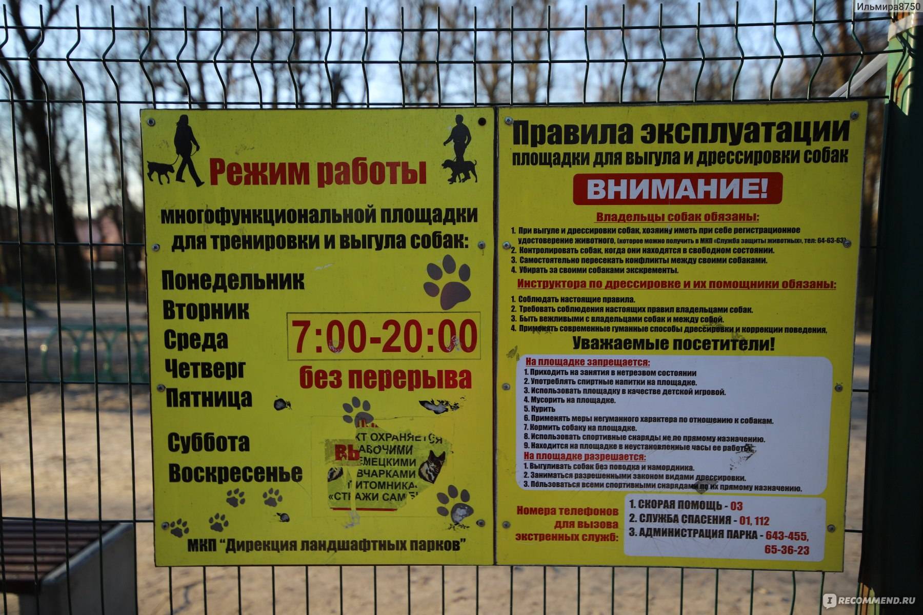 Закон о выгуле собак в 2021 году: правила в россии, штрафы в неположенных местах