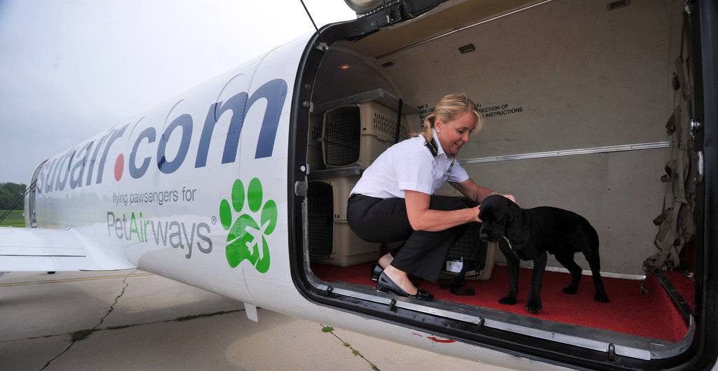 Перевозка собак в самолете по россии