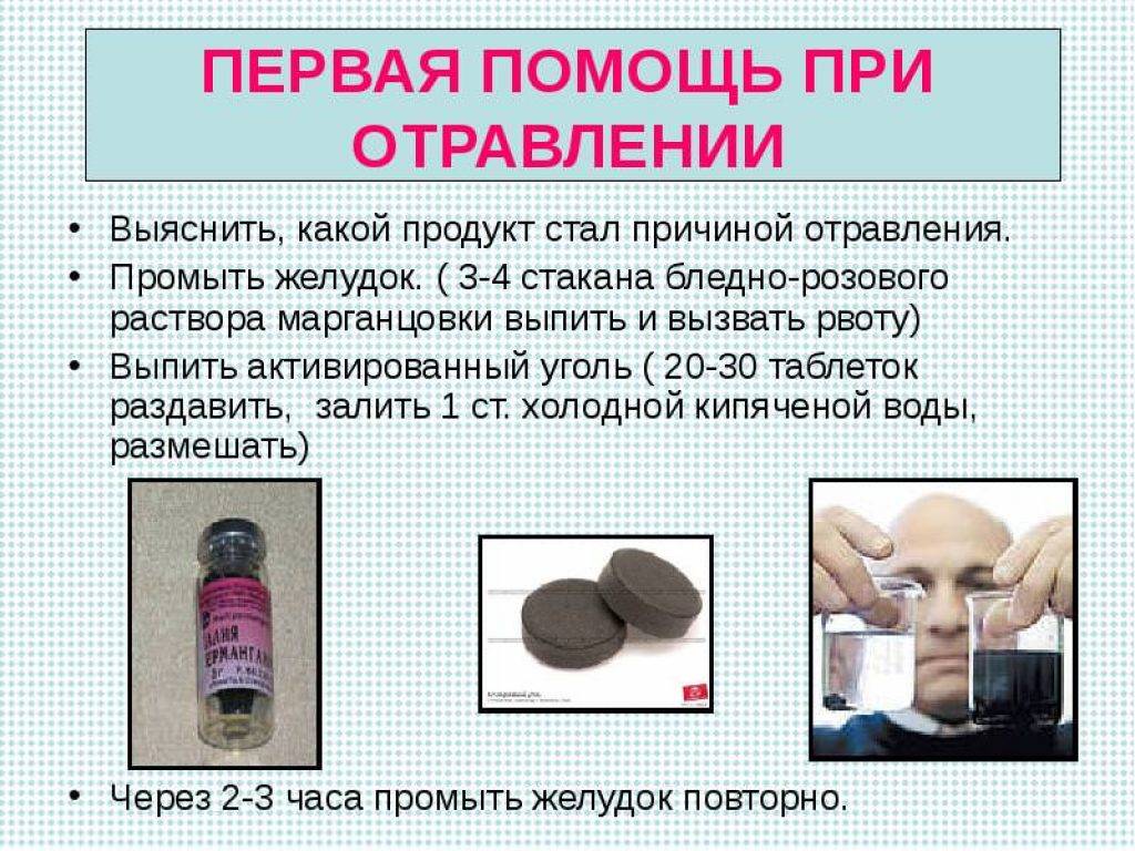 Отравление у собаки: признаки пищевой интоксикации